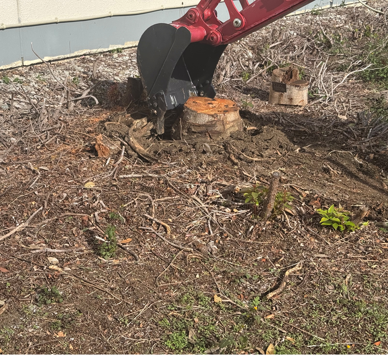 根こそぎ切るソー